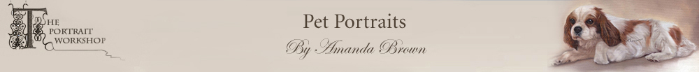 Pet Portraits by Amanda Brown