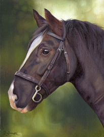 Soldier horse portrait