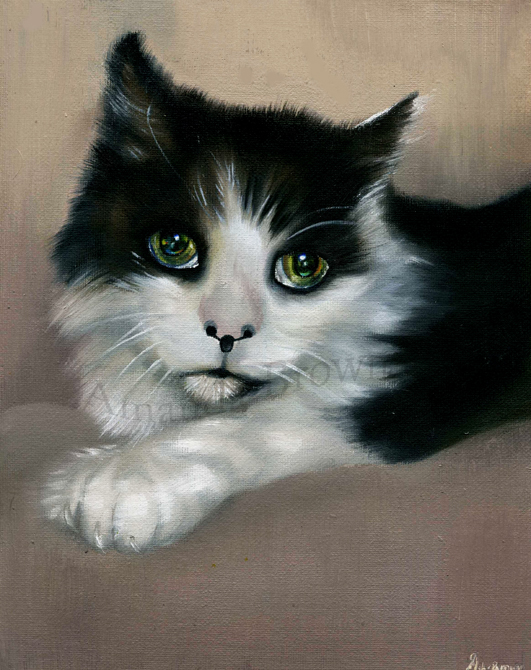 Vesta cat portrait
